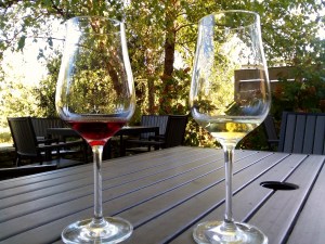 Wiemer glasses outside