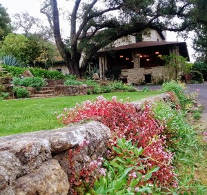 Stags' Leap Exterior