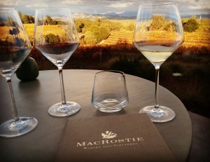 MacRostie glasses w view