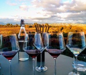 MacRostie tasting view 2